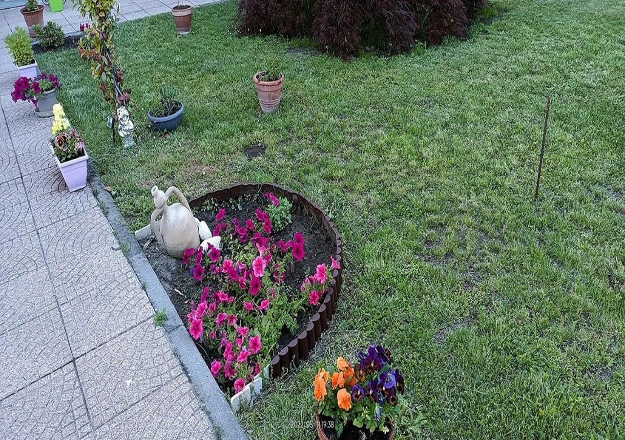 La Magnolia B&B Gassino Torinese Exterior foto