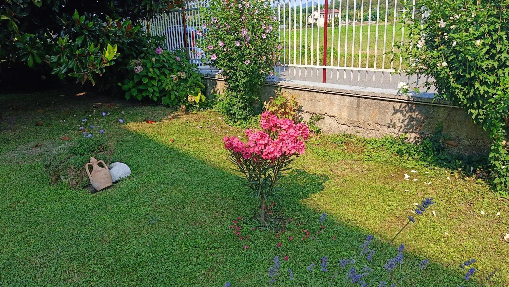 La Magnolia B&B Gassino Torinese Exterior foto